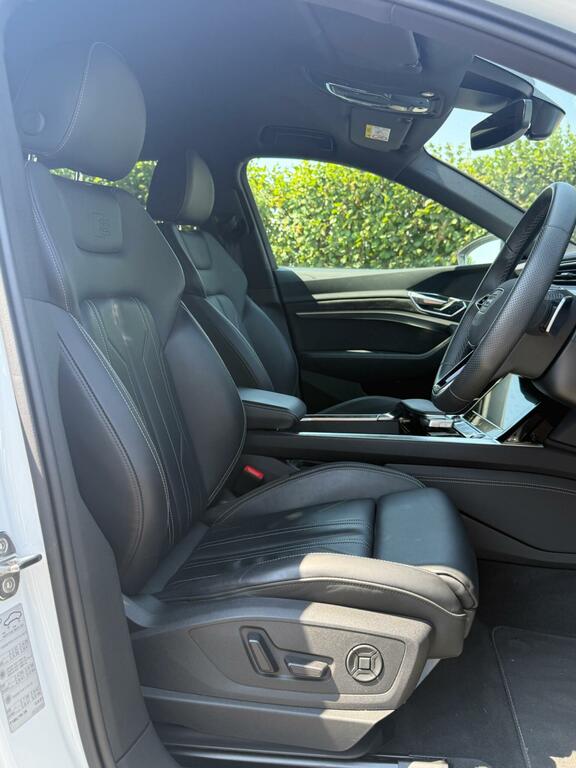 Audi E-tron 230Kw 50 Quattro Black Black #9