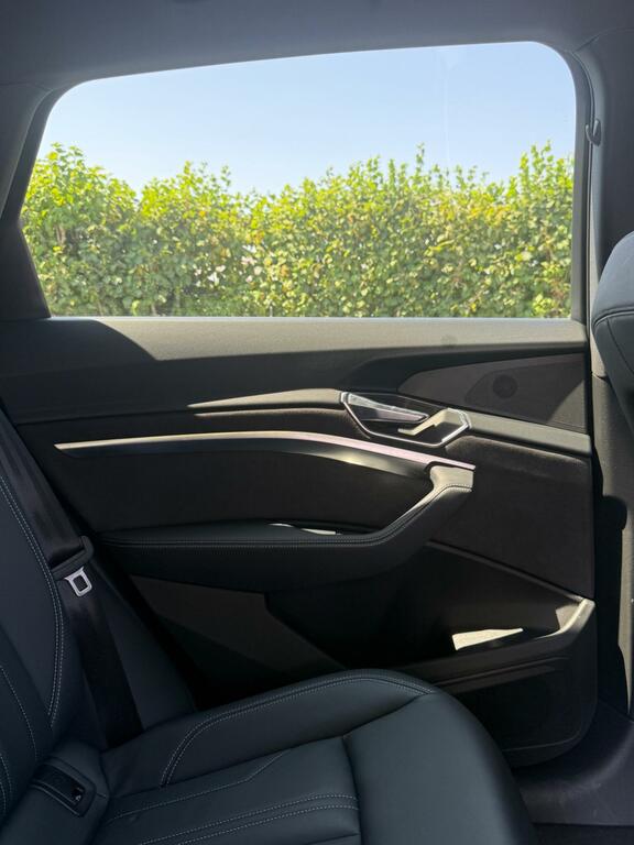 Audi E-tron 230Kw 50 Quattro Black Black #10