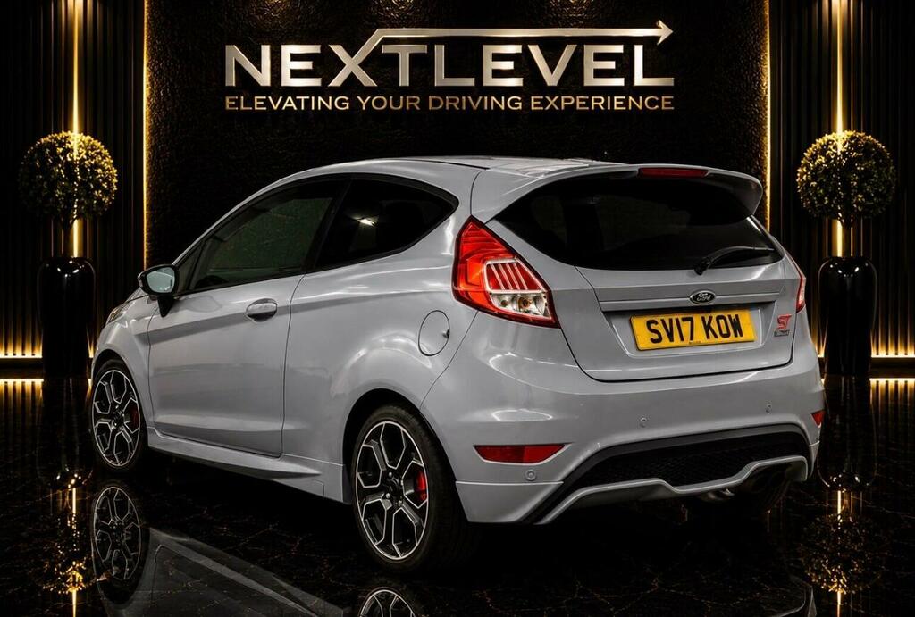 Ford Fiesta 1.6T Ecoboost St-200 Euro 6 Grey #2