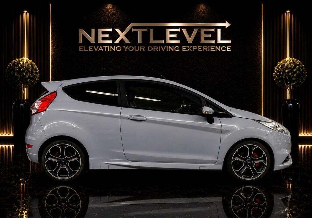 Ford Fiesta 1.6T Ecoboost St-200 Euro 6 Grey #3