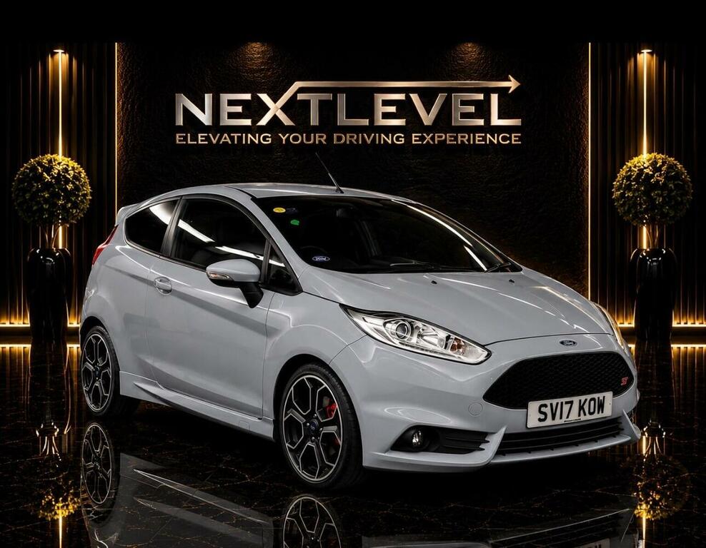 Ford Fiesta 1.6T Ecoboost St-200 Euro 6 Grey