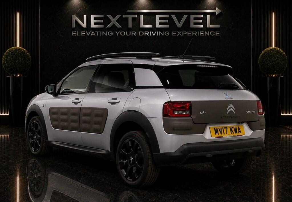 Citroen C4 Cactus 1.2 Puretech Flair Euro 6 Ss Silver #2