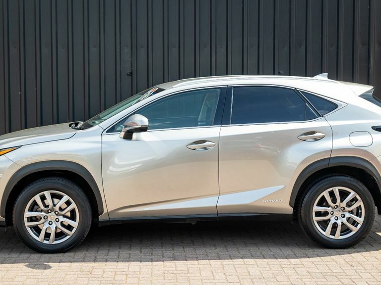 Lexus NX 300H 2.5 Luxury Cvt Silver #6
