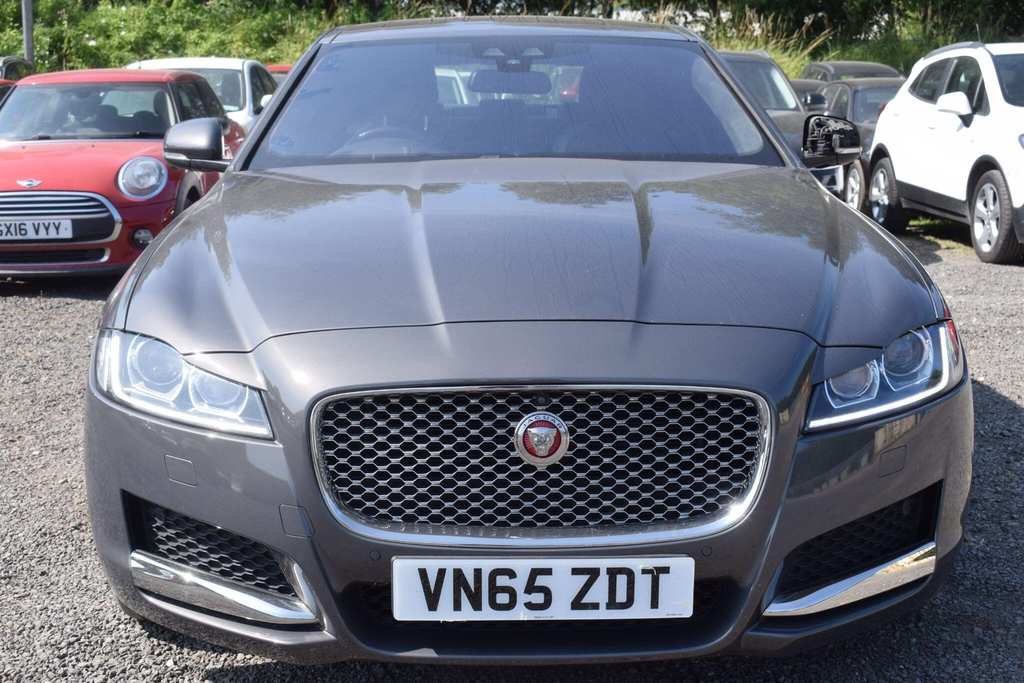 Jaguar XF D Luxury White #13