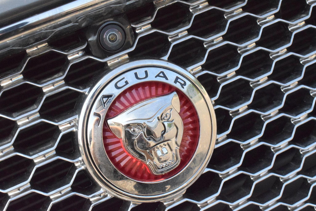 Jaguar XF D Luxury White #8