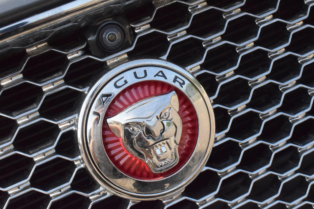 Jaguar XF D Luxury White #14