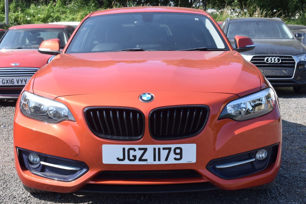BMW 2 Series 1.5 Sport Euro 6 Ss Orange #6