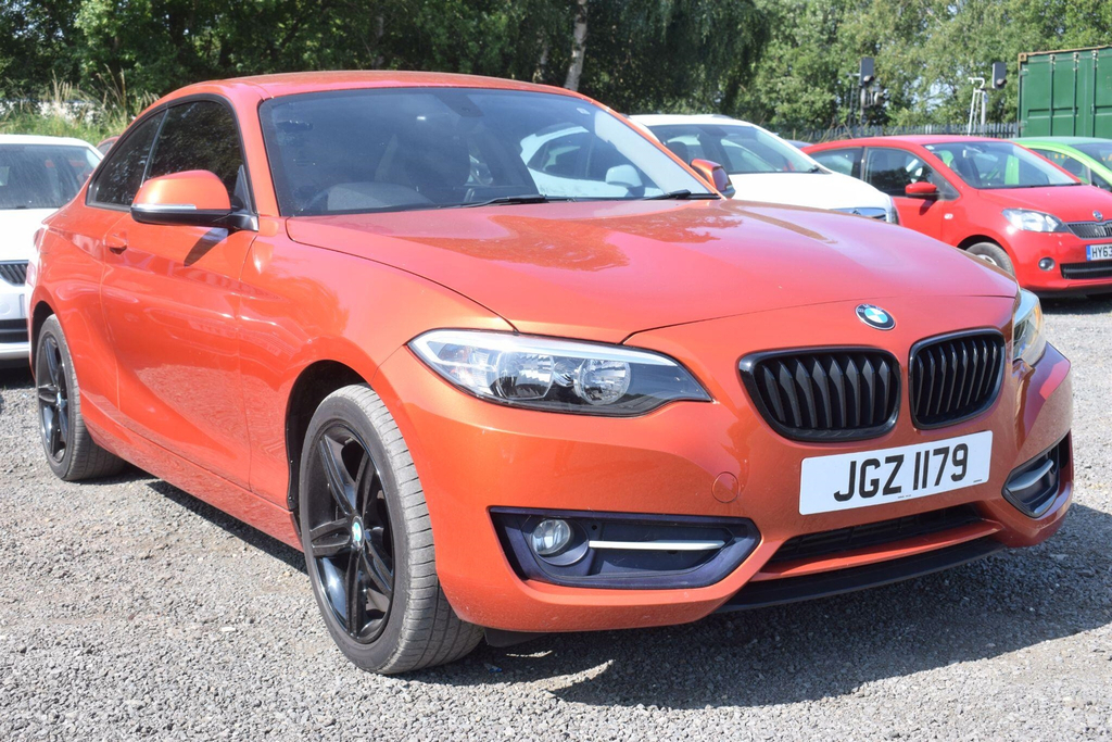 BMW 2 Series 1.5 Sport Euro 6 Ss Orange