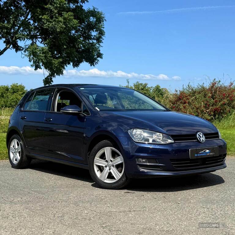 Volkswagen Golf 1.6 Tdi 110 Match Edition SN66UGX Blue #2