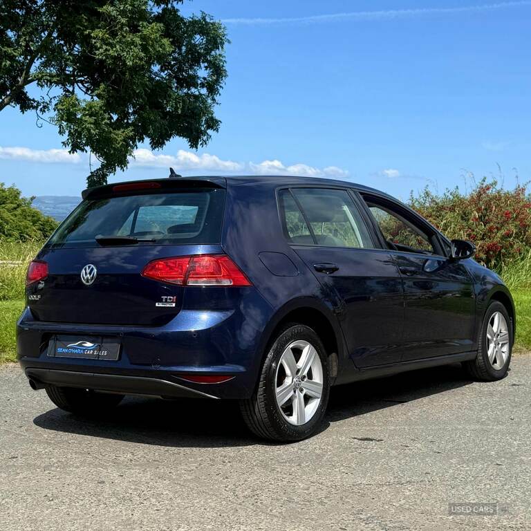 Volkswagen Golf 1.6 Tdi 110 Match Edition SN66UGX Blue #4