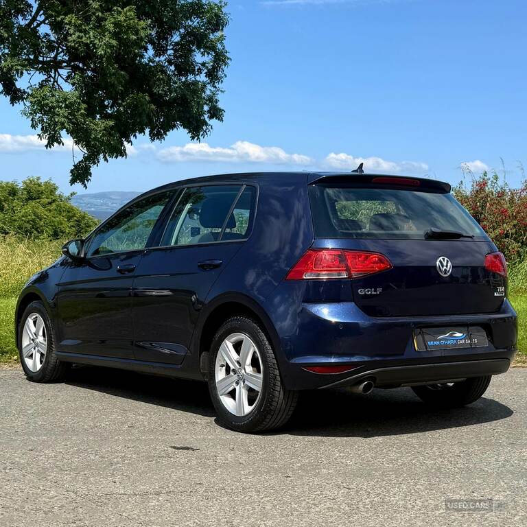 Volkswagen Golf 1.6 Tdi 110 Match Edition SN66UGX Blue #5