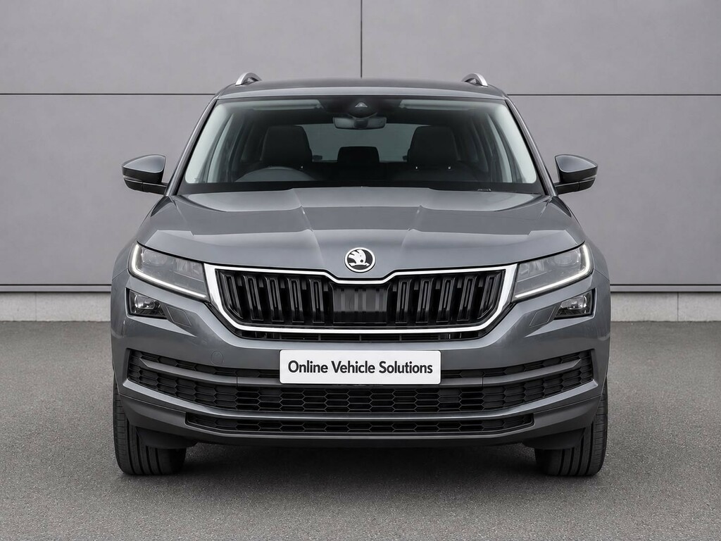 Skoda Kodiaq Suv 2.0 Tdi Se L 2019 AJ19CXX Grey #5