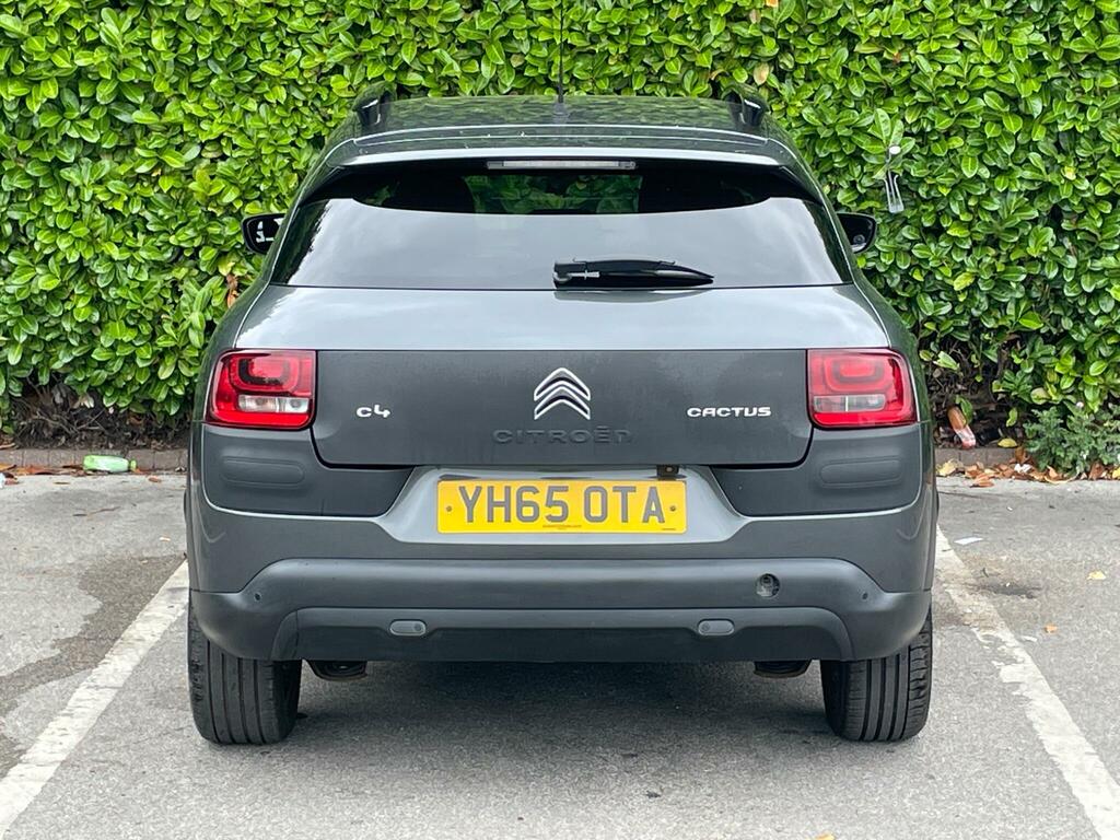 Citroen C4 Cactus Flair Grey #5