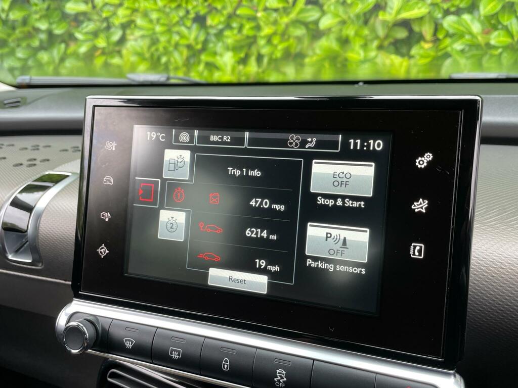 Citroen C4 Cactus 1.6 Bluehdi Feel Silver #12