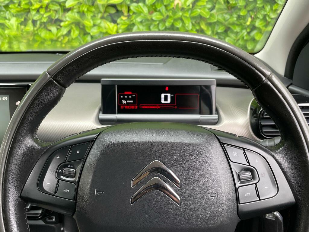 Citroen C4 Cactus 1.6 Bluehdi Feel Silver #17