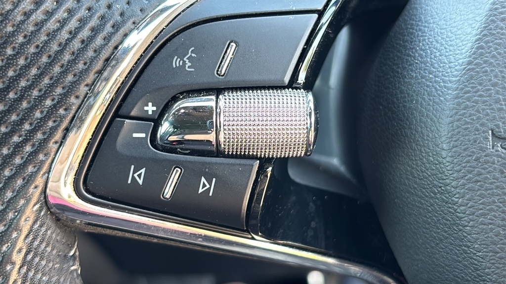 Skoda Kodiaq Grey #19