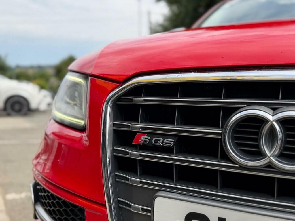 Audi SQ5 3.0 Bitdi V6 White #8