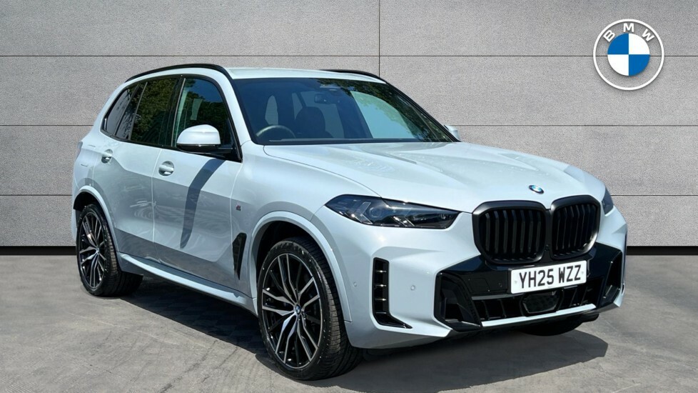 BMW X5 X5 Xdrive30d M Sport Grey