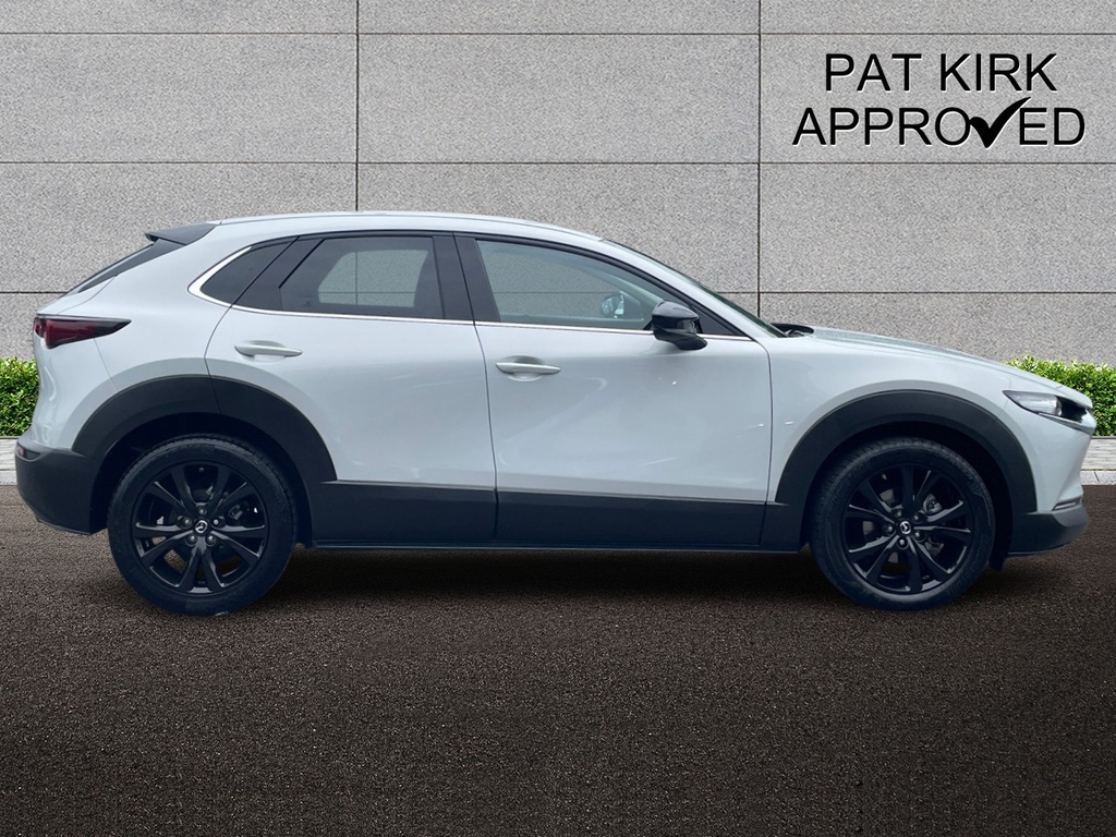 Mazda CX-30 2.5 E-skyactiv G Mhev 140 Homura LK25MDF  #3