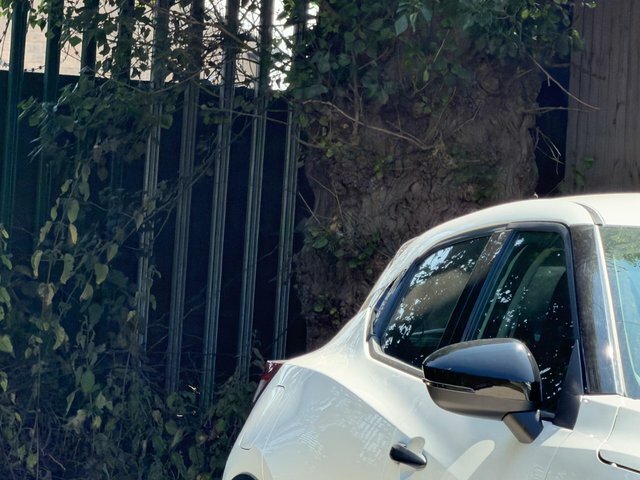 Nissan Juke Tekna Grey #24