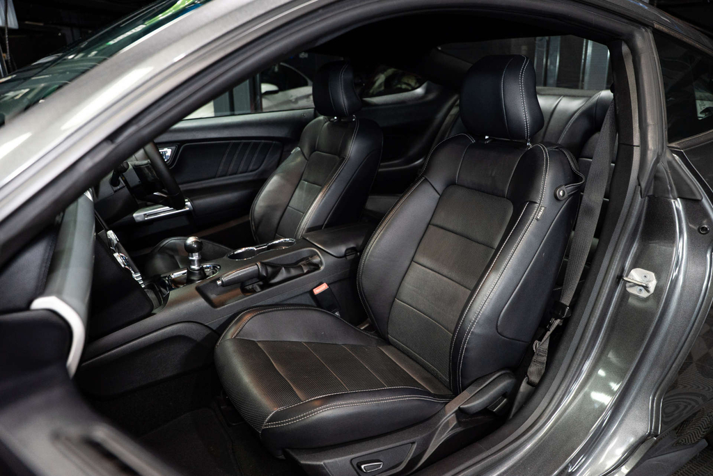 Ford Mustang Ecoboost #3