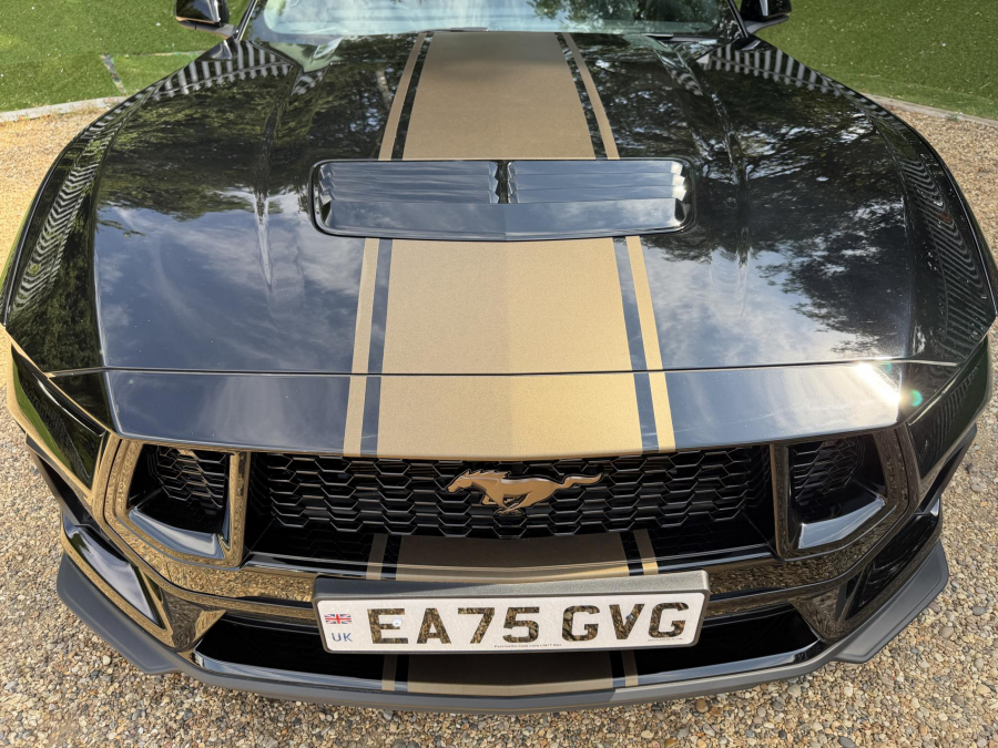 Ford Mustang Gt Coupe Black #4