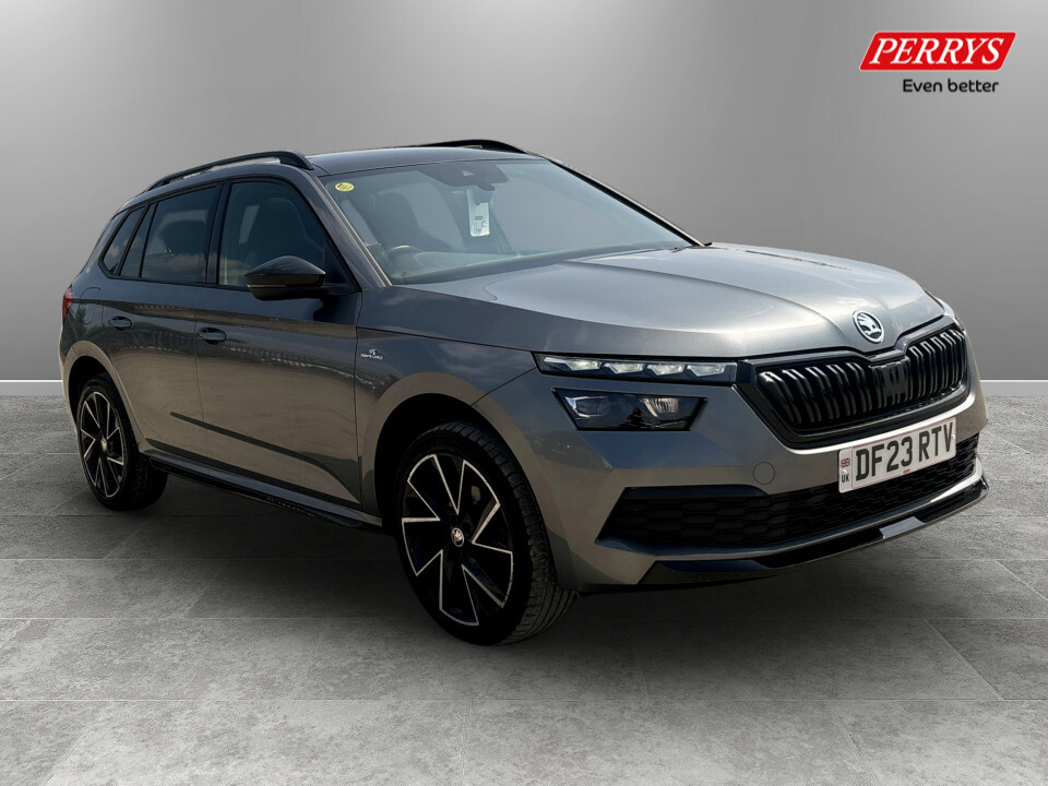 Skoda Kamiq 1.0 Tsi 110 Monte Carlo Dsg Grey