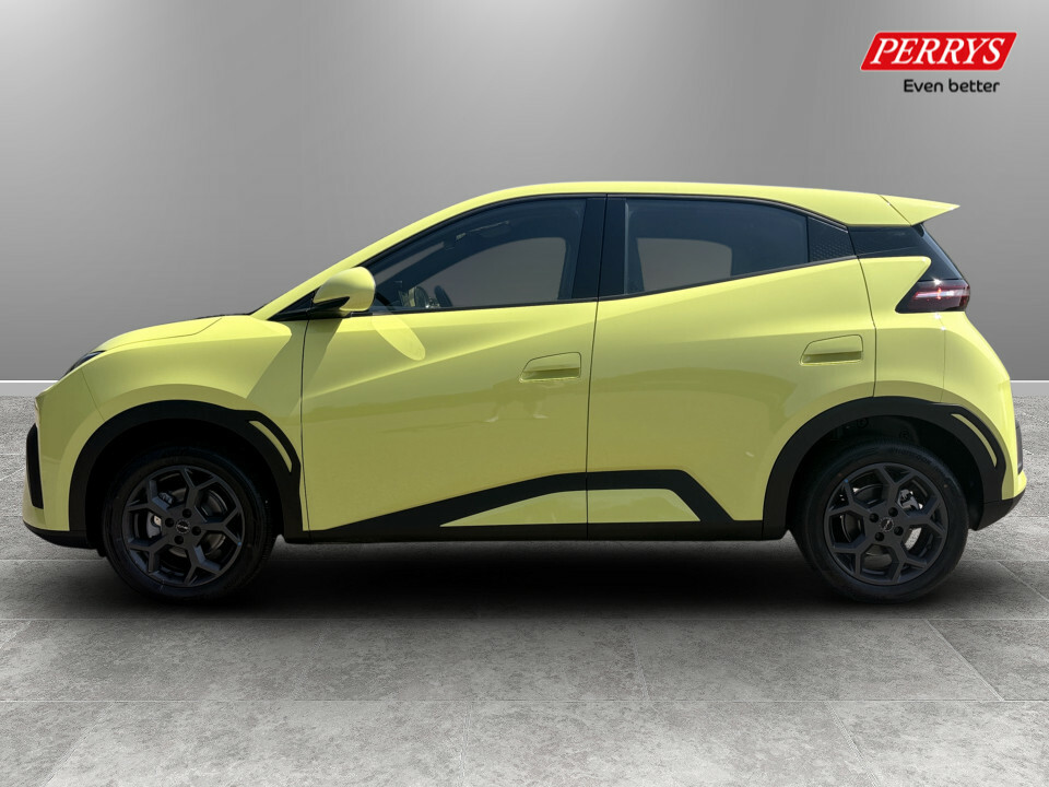 Byd Dolphin 65Kw Boost 43Kwh Green #4
