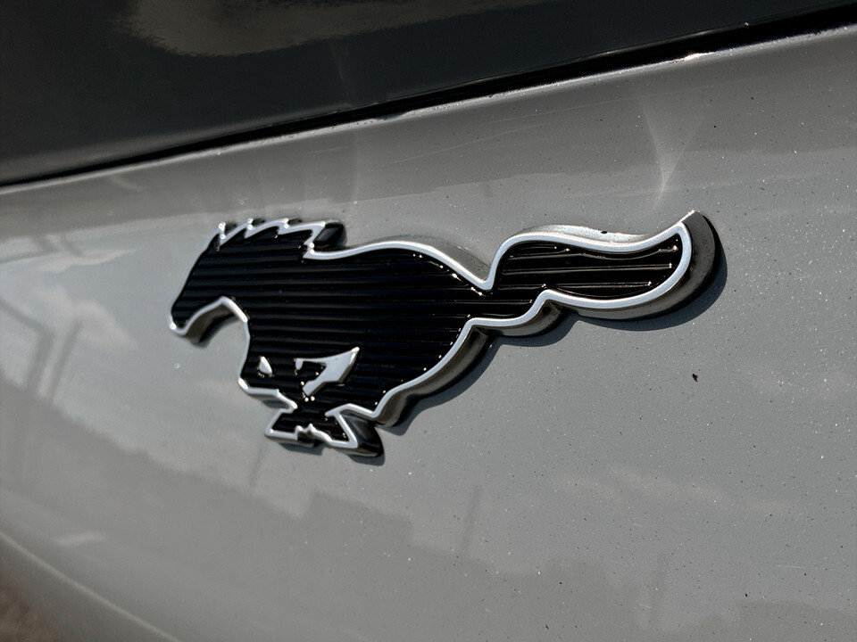 Ford Mustang Mach-E Mach-e Blue #30