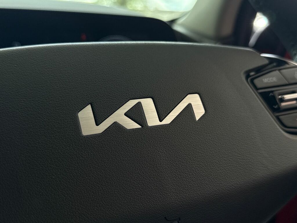 Kia e-Niro 2 Spec Ev Grey #43