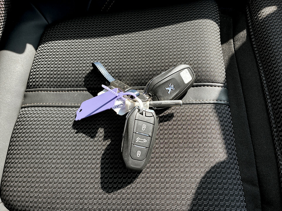 Peugeot 3008 Active Premium Grey #26