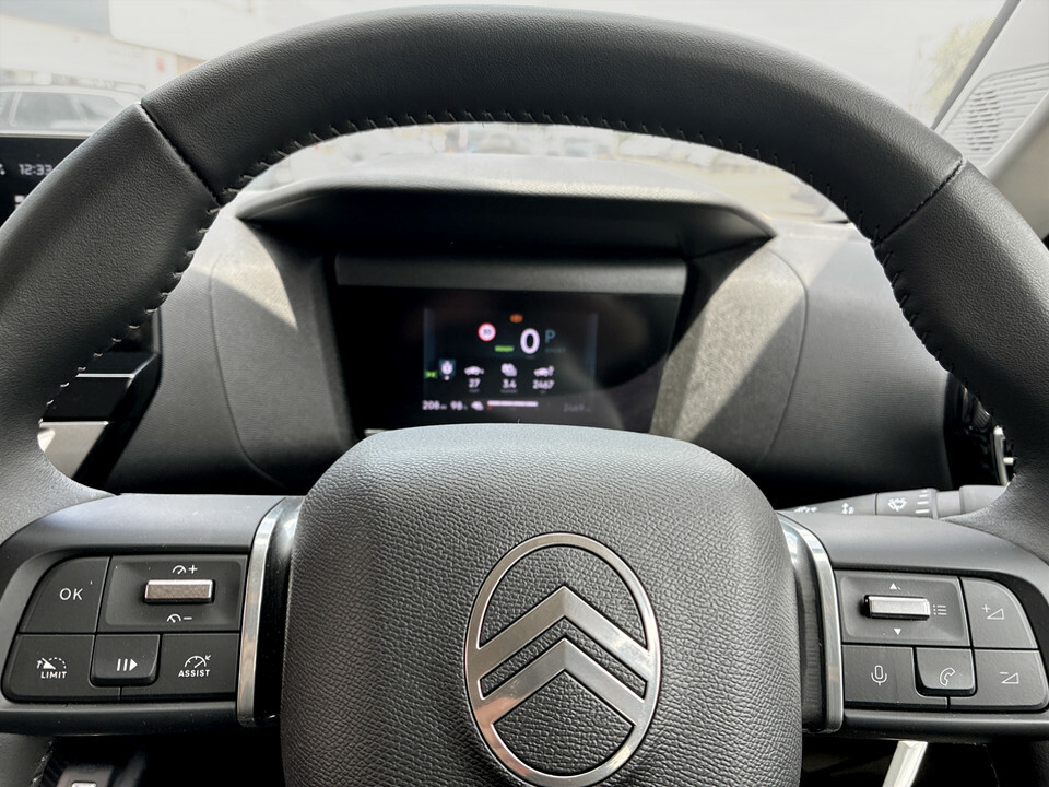 Citroen e-C4 54Kwh Max Fastback 7.4Kw Charge  #32