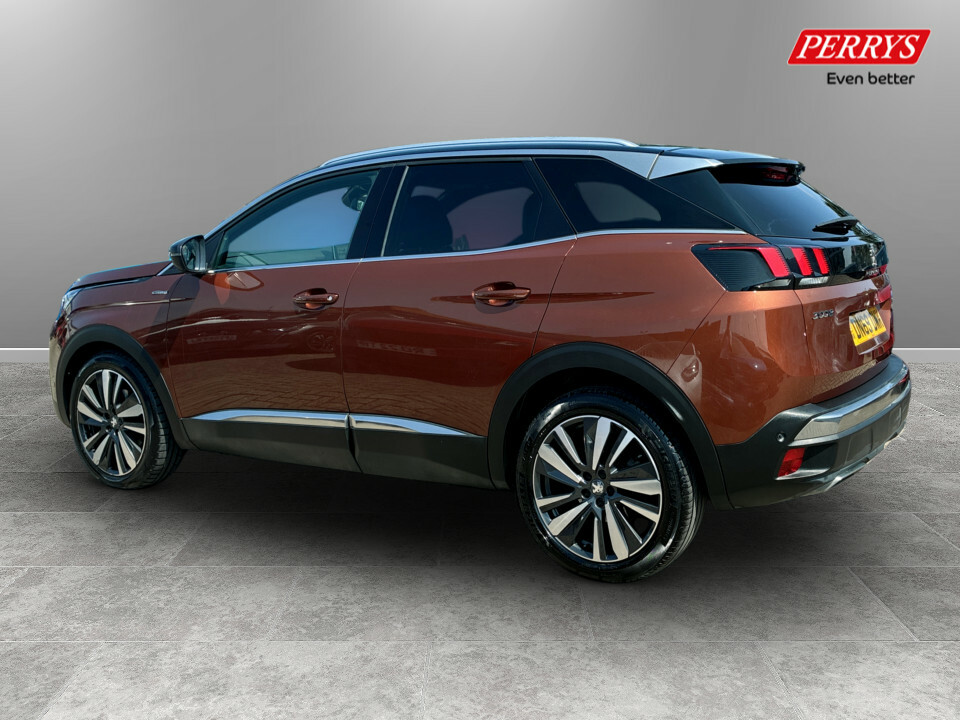 Peugeot 3008 1.5 Bluehdi Gt Line Premium Eat8 Brown #5