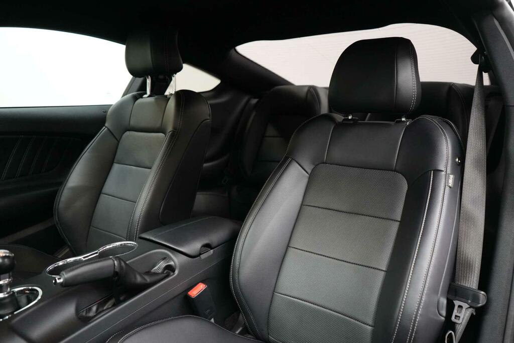 Ford Mustang  Grey #17