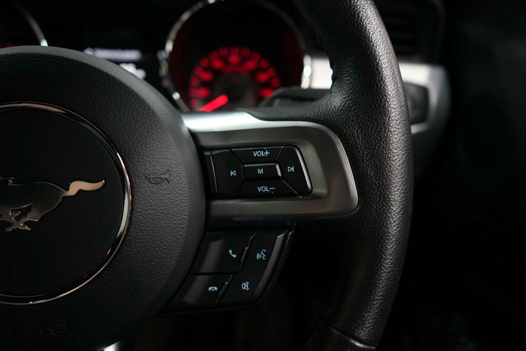 Ford Mustang  Grey #37