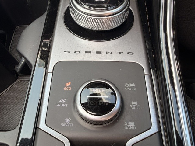 Kia Sorento Vision Blue #15