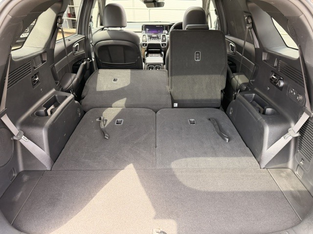 Kia Sorento Vision Blue #19