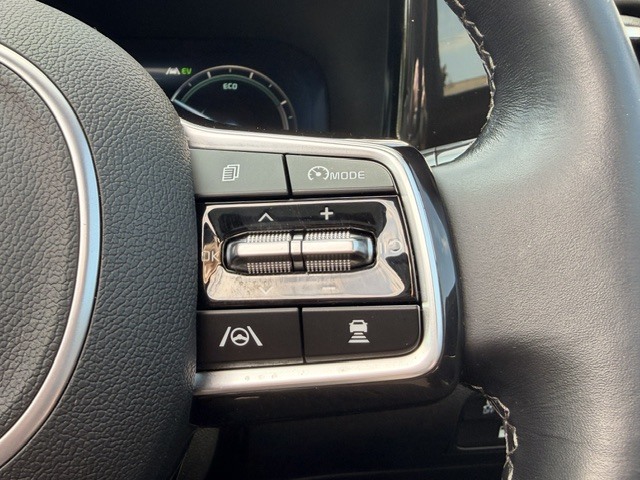 Kia Sorento Vision Blue #36