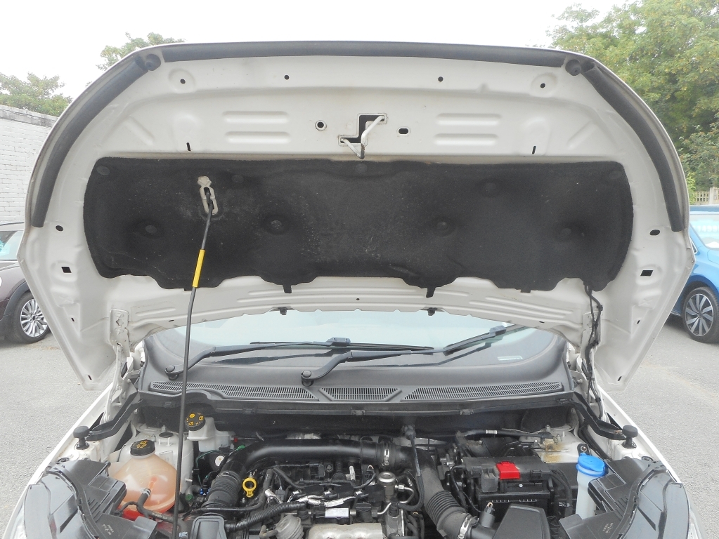 Ford Ecosport Titanium Grey #9