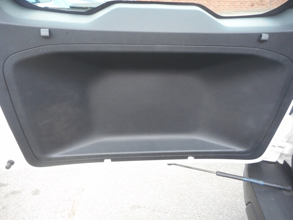 Ford Ecosport Titanium Grey #27