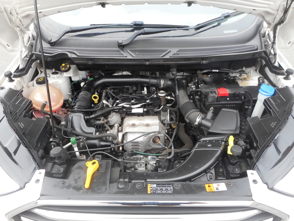 Ford Ecosport Titanium Grey #8