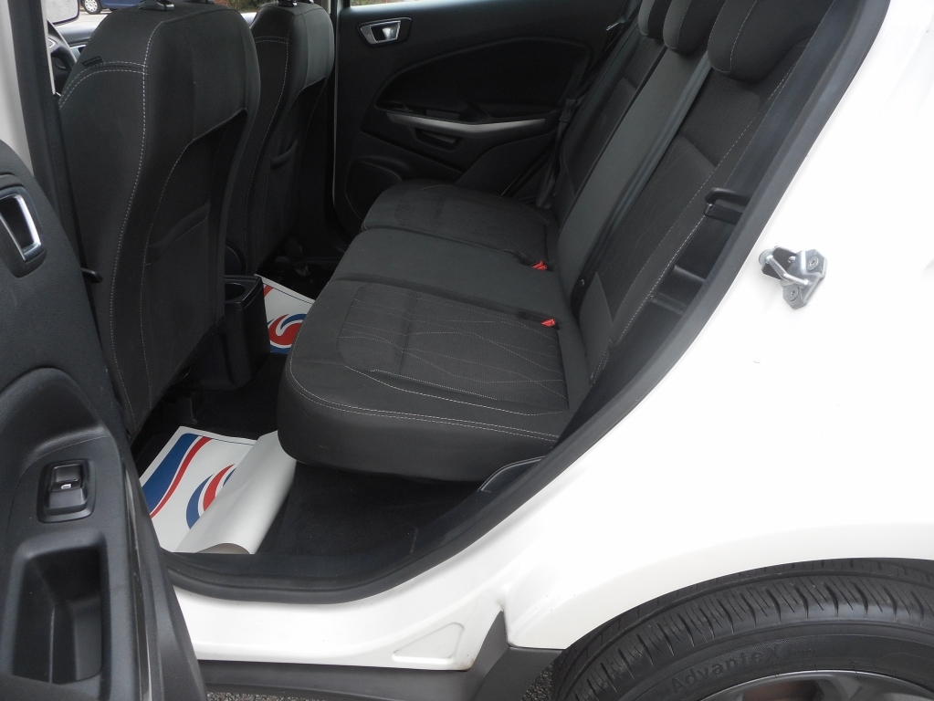 Ford Ecosport Titanium Grey #31