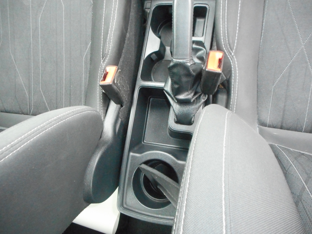Ford Ecosport Titanium Grey #18