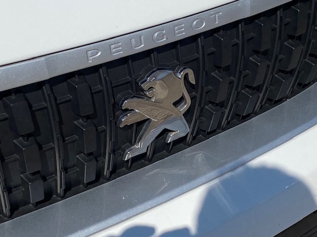 Peugeot Expert 2.0 Bluehdi 1400 Professional Premium Standard Pan Grey #22