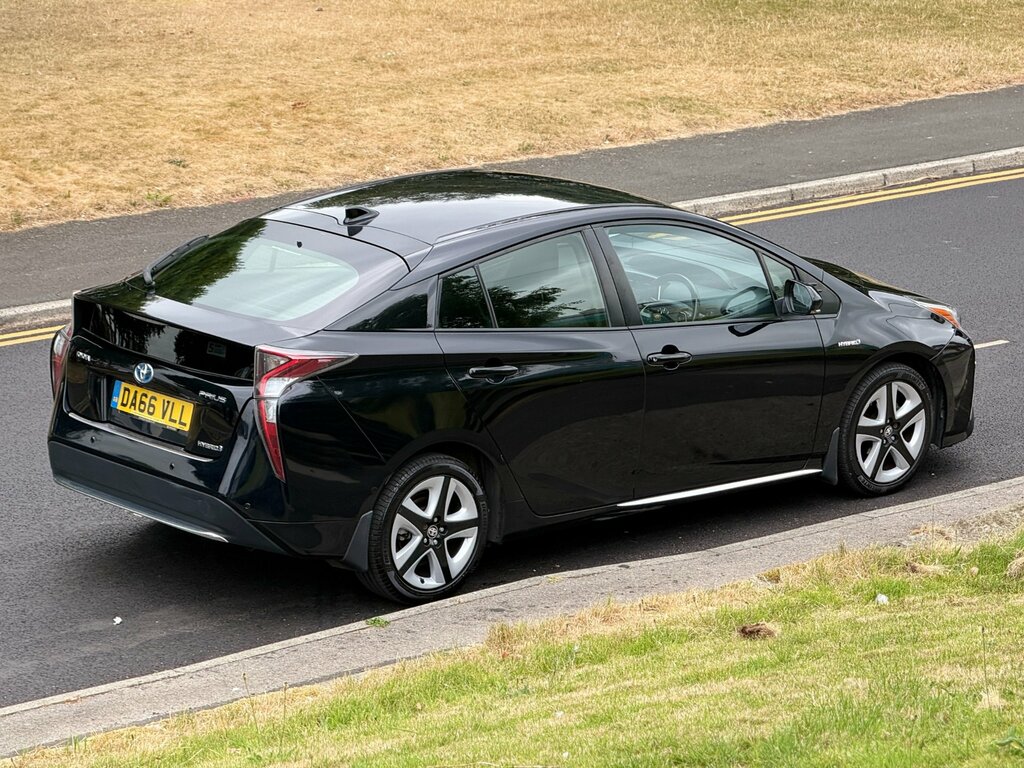 Toyota Prius+  Brown #66