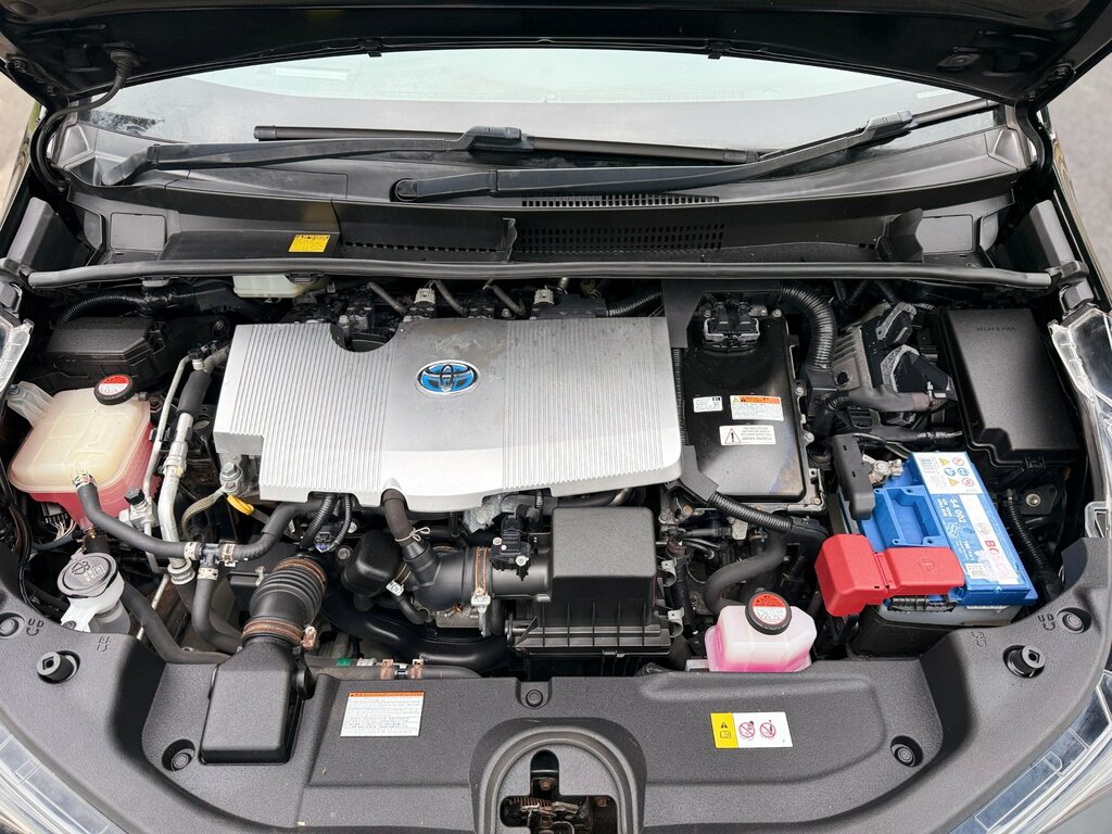 Toyota Prius+  Brown #53