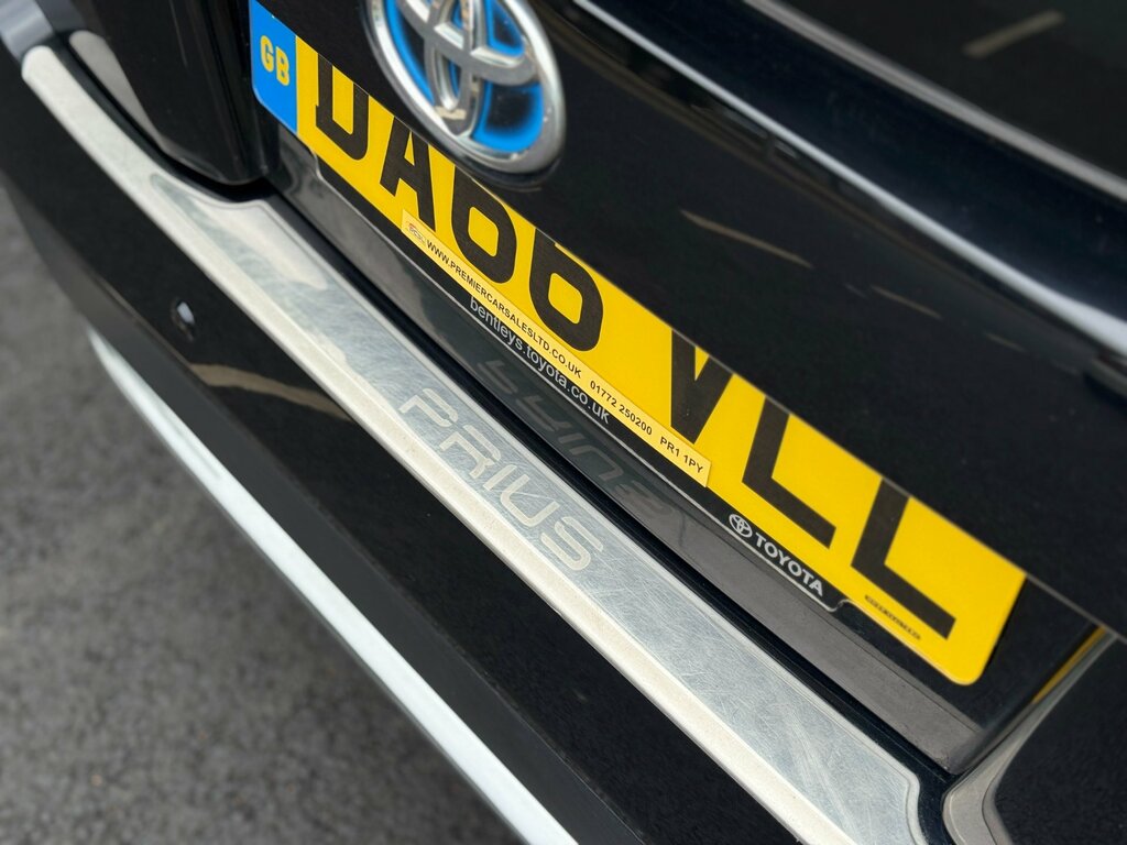 Toyota Prius+  Brown #64