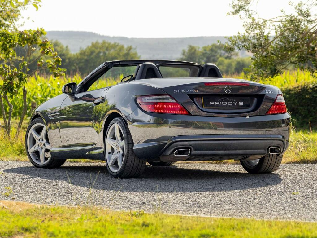 Mercedes-Benz SLK 2.1 Slk250 Cdi Blueefficiency Amg Sport G-tronic Grey #2