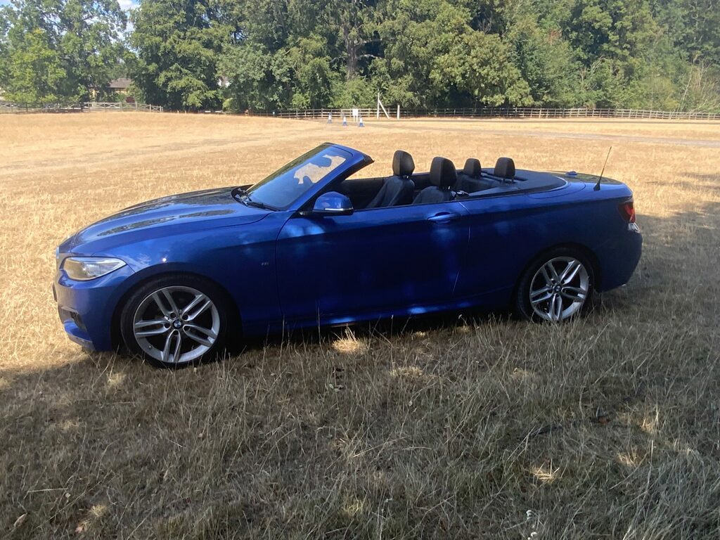 BMW 2 Series M Sport Convertible 6 Speed Blue #6