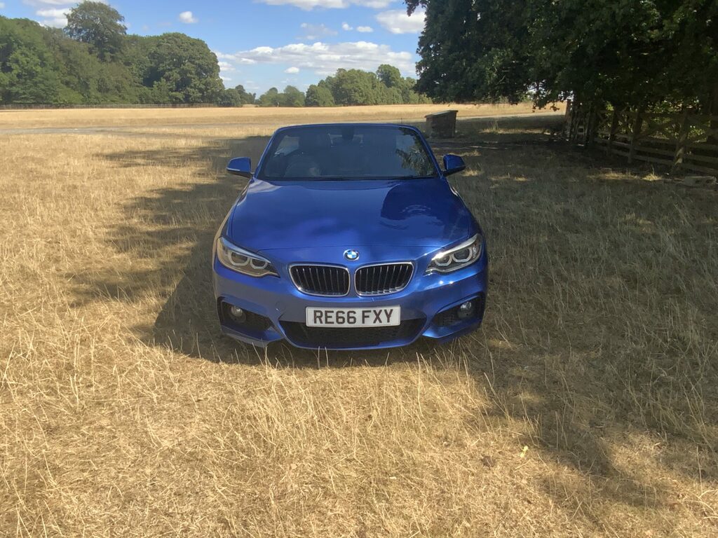 BMW 2 Series M Sport Convertible 6 Speed Blue #4